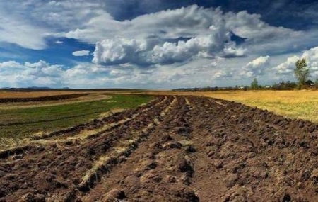 Емфітевзис, або як в українських селян відбирають землі