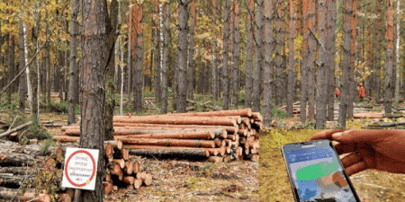 Додаток "Ліс у смартфоні" запрацював на Черкащині (відео)