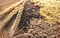 Черкаська область займає друге місце в Україні за врожайністю зернових та зернобобових культур