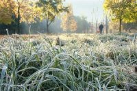 Синоптики попереджають про заморозки на Черкащині