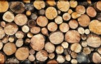 Держлісгоспи Черкащини реалізовують дрова