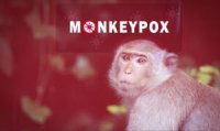 ВООЗ оголосила глобальну надзвичайну ситуацію через мавпячу віспу