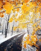 Зима близько: Синоптик розповів про погоду на Черкащині найближчого тижня